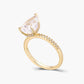 Eden Ring｜3ct