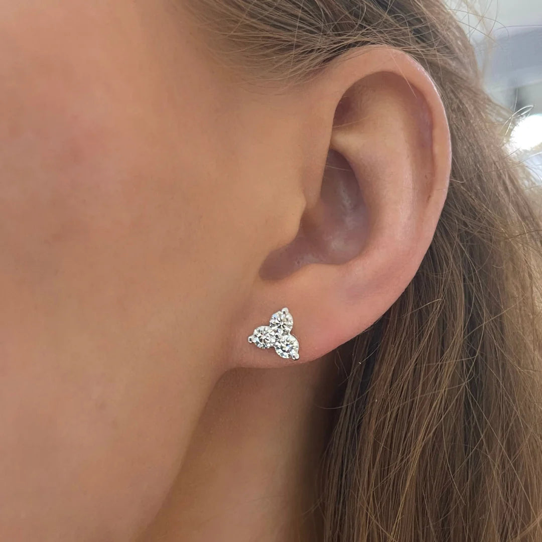 مجموعة TRILOGY CLUster